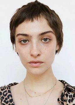 photo Abova