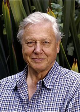 photo Attenborough