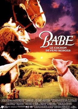 photo Babe, le cochon devenu berger