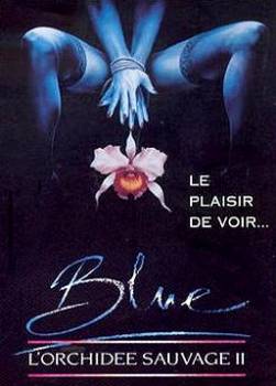 photo Blue, l'orchidée sauvage 2