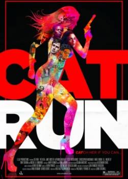 photo Cat Run