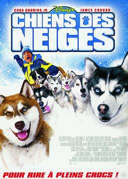 photo Chiens des neiges