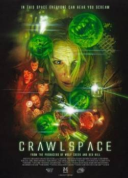 photo Crawlspace