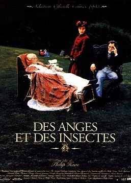 photo Des anges et des insectes