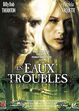 photo En eaux troubles "2002"