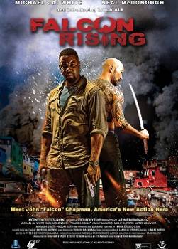 photo Falcon Rising