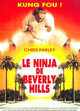 photo Le Ninja de Beverly Hills