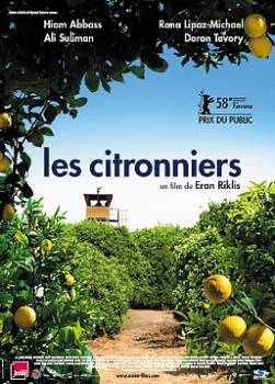 photo Les citronniers