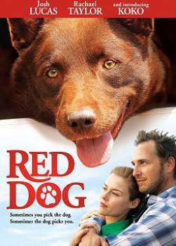 photo Red Dog