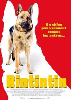 photo Rintintin