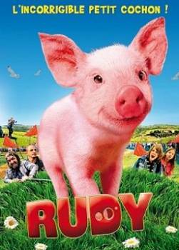 photo Rudy, l'incorrigible petit cochon !