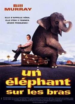 photo Un éléphant sur les bras