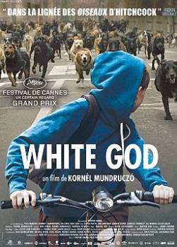 photo White God