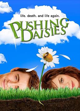 photo Pushing Daisies