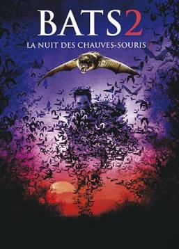 photo BATS 2 - la nuit des chauves-souris 2