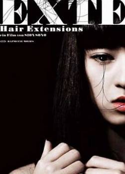 photo Exte : Hair Extensions