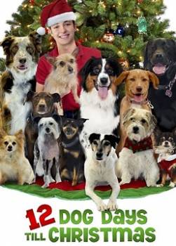 photo Il faut sauver les chiens de Noël