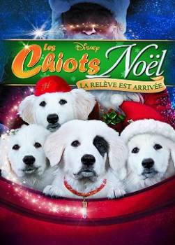 photo Les Chiots Noël, la relève est arrivée