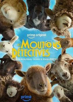 photo Les Moutons D&eacute;tectives