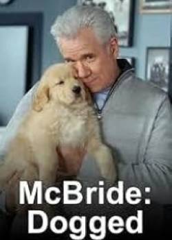 photo McBride : Entre chien et loup