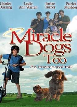 photo Miracle Dogs Too