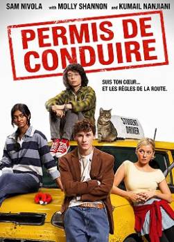 photo Permis de Conduire