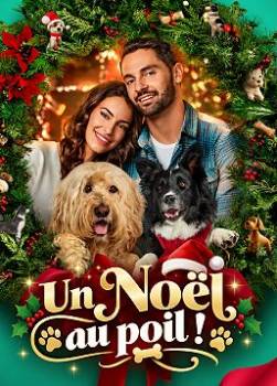 photo Un No&euml;l au poil !