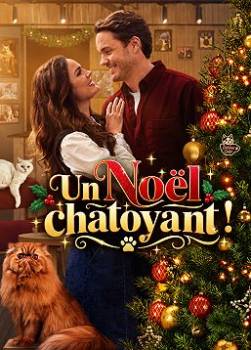 photo Un No&euml;l chatoyant !