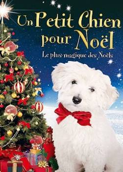 photo Un Petit chien pour Noël